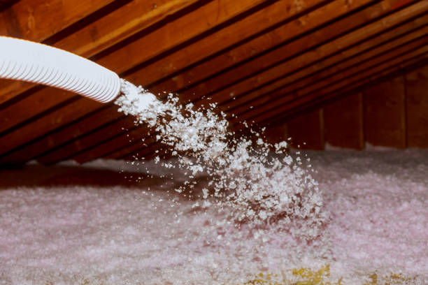 Best Attic Insulation Installation  in South Bloomfield, OH